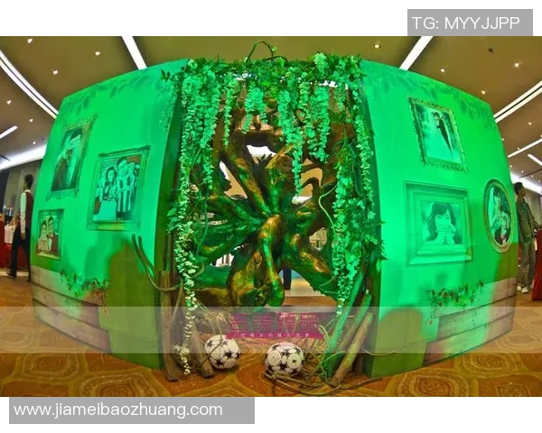 创意环保生活从足球做花盆开始让废物变宝物的绿色新选择