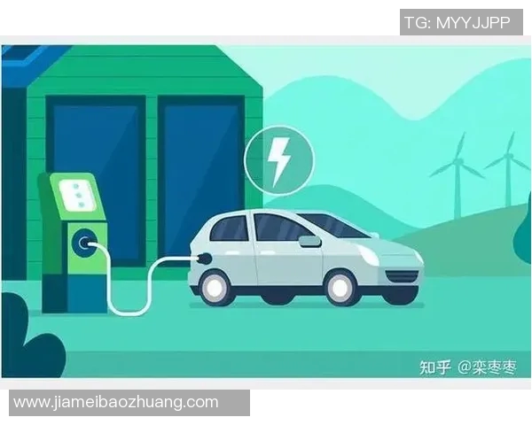 如何科学合理地存放足球以延长其使用寿命和保持最佳状态